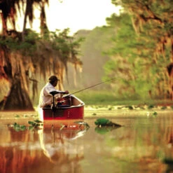 Elektromotor Minn Kota Endura C2 V2 Süßwasser -Schiffsausrüstung Verkauf elektromotor minn kota endura c2 v2 suesswasser 6